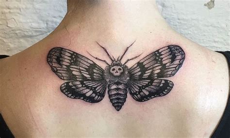 polilla tattoo|tattoo courses online australia.